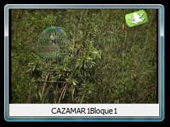 CAZAMAR1Bloque1