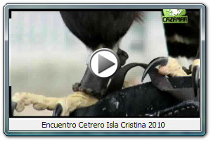 Encuentro Cetrero Isla Cristina 2010 