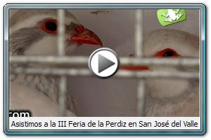 Asistimos a la III Feria de la Perdiz en San Jos del Valle