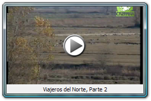 Viajeros del Norte, Parte 2