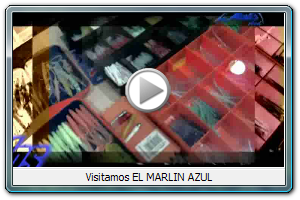 Ofertas en EL MARLIN AZUL