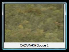 CAZAMAR6 Bloque 1