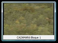 CAZAMAR6 Bloque 1
