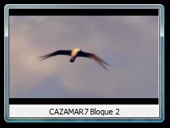 CAZAMAR7 Bloque 2