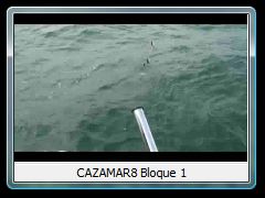 CAZAMAR8 Bloque 1