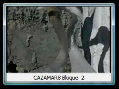 CAZAMAR8 Bloque  2