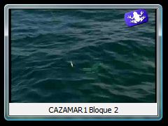 CAZAMAR1 Bloque 2