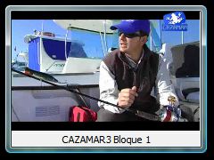 CAZAMAR3 Bloque 1